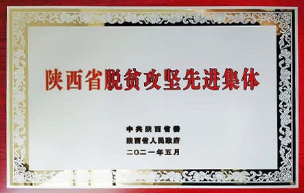 rb88随行版_首页官网入口