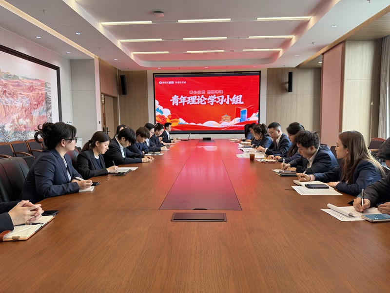 061783334145778712.jpg 03 青心向党·思想铸魂——公司团委召开五四专题青年理论学习小组会议 - 副本.jpg